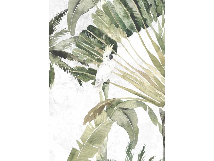 Bild KOMAR Oiseau Cacadoo , bunt (farbe bild(er): bunt), B:50cm H:70cm, Holz, Papier, Bilder, Bild, Wandbild zur Dekoration - ohne Rahmen