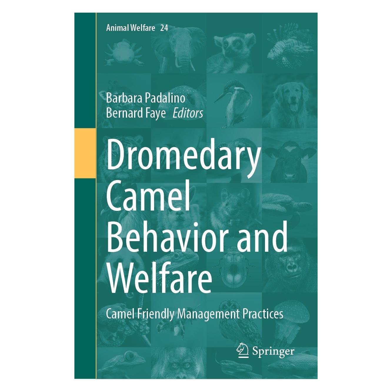 Springer Dromedary Camel Behavior and Welfare (Englisch, Hardcover, Barbara Padalino, Bernard Faye) (9783031485992)