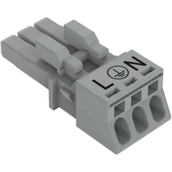 WAGO GmbH &amp; Co. KG Buchse 3-polig 890-243/060-000