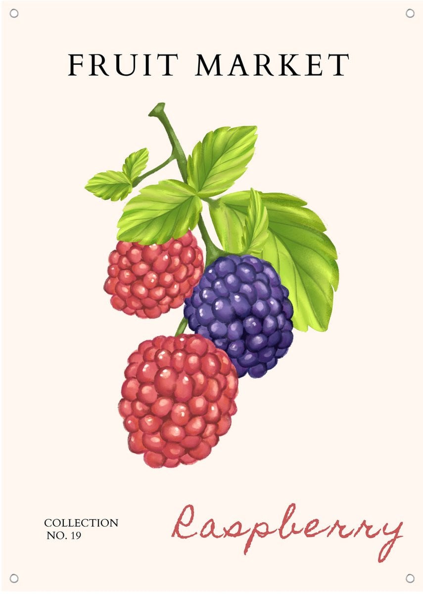 Frambozen Botanische Illustratie Tuinposter 50 x 70 cm