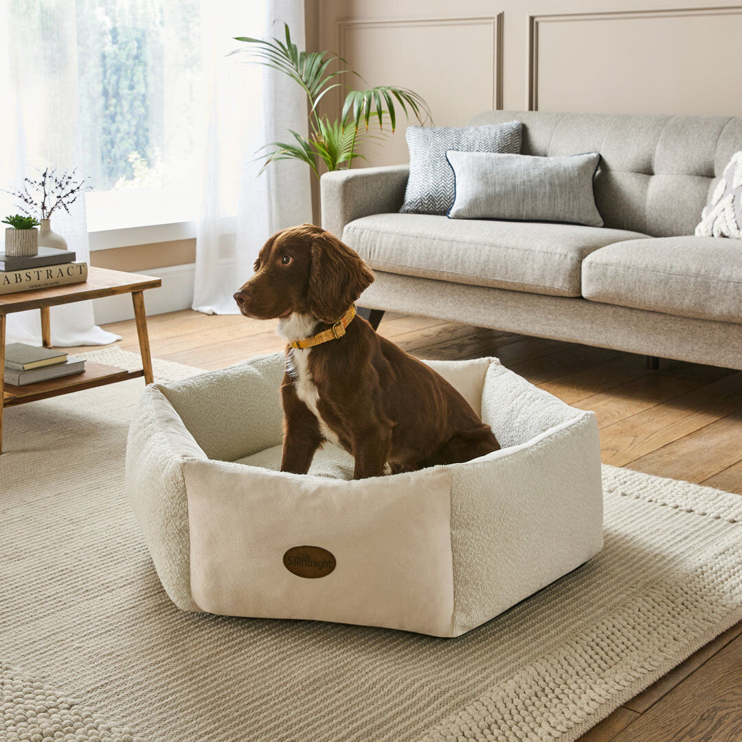 Silentnight Deep Sleep Donut Boucle Pet Bed Cream L 25 x 85 cm