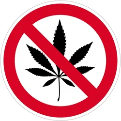 Contacto,Hinweis- /Verbotsschilder Cannabisverbot / 10 cm
