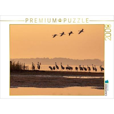 CALVENDO Puzzle Kraniche am Schlafplatz als Silhouette | 2000 Teile Lege-Größe 90 × 67 cm Foto-Puzzle für glückliche Stunden
