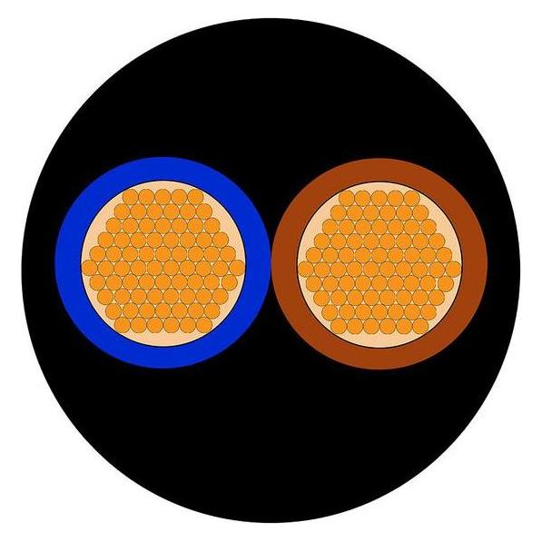 RS PRO H07RNF 2 core 2.5mm rubber cable 50m (50 m) (7739027)