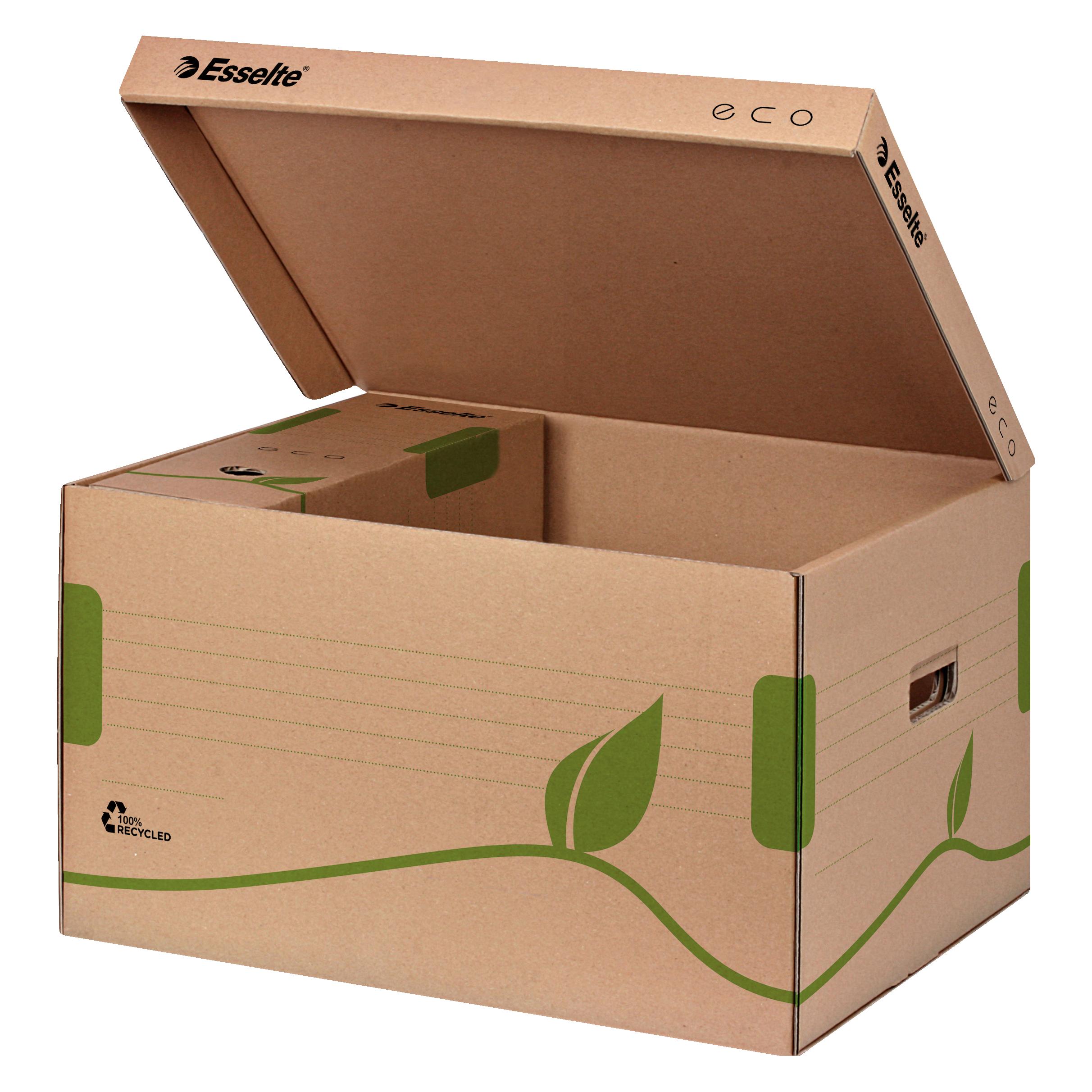 Esselte Archivbox (A4) (623918)