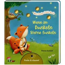 Mein Puste-Licht-Buch: Wenn im Dunkeln Sterne funkeln - Gute-Nacht-Buch mit Puste-Licht und LED-Lämpchen