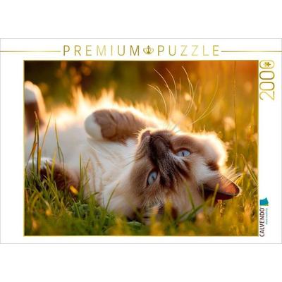 CALVENDO Puzzle Heilige Birma - Ein Platz an der Sonne | 2000 Teile Lege-Größe 90 × 67 cm Foto-Puzzle für glückliche Stunden, von , Calvendo Puzzle