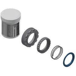 Service-Kit Ratchet für EXP OS, DT SWISS, ohne Lager, für 30 Zähne, Größe: 30 Zähne, VE: 1 Kit