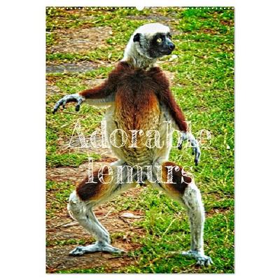 Adorable lemurs (Wall Calendar 2026 DIN A2 portrait), CALVENDO 12 Month Wall Calendar