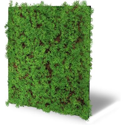 Wandpaneel ARCHITECTS PAPER "A.S. Création Modular Wall Wandpaneel Pflanzenoptik Natur", grün (wald, grün), B/L: 52cm x 52cm, Kunststoff, Textil, Paneele, Natur- und Kunstfasern auf rPET-Filz für botanische 3D-Wände