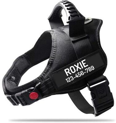 Inspire Essentials SecureFit Personalized Dog Harness 1 xs