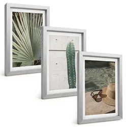 BILDER SET 3er Set - 20x30 cm Silberner Rahmen - Zubehör für tropische Pflanzen