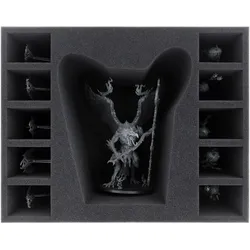 Feldherr FSMEUS140BO - Schaumstoffeinlage für Lord of Change / Kairos Fateweaver (Kunststoff, Schaumstoff)