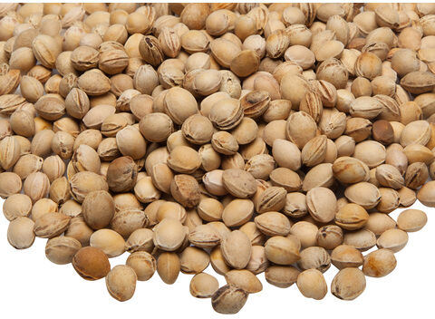 Echte Kirschkerne, 500 g/1000 g