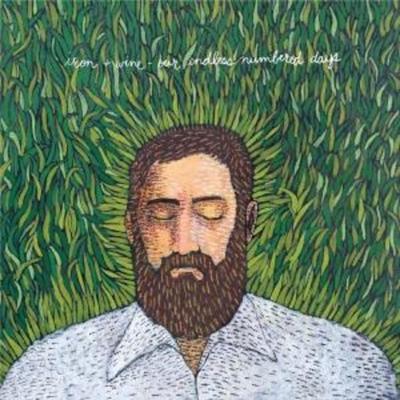 Our Endless Numbered Days - Iron And Wine, Vinyl