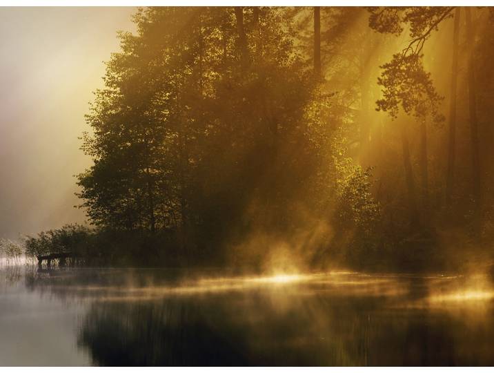 Fototapete PAPERMOON Misty Early Morning , bunt, B:2m L:1,49m, Vlies, Tapeten, Fototapete