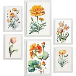 POSTER Set Mit 6 Orangefarbene Blumen Vollfarbige Natur Und Botanikdrucke Mit Blumenmotiven Auf Reinweißen Hintergründen A3 & A4 Weißer Rahmen