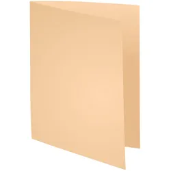 Exacompta, Mappe, Aktendeckel X410002E sand, 100 Stück (A4, 100x)