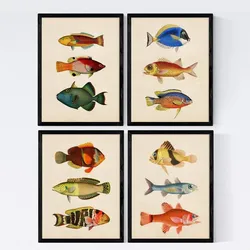 POSTER Set mit 4 Instrumente mit Noten Klavier, Geige, Cello, Akkordeon A4 Schwarzer Rahmen