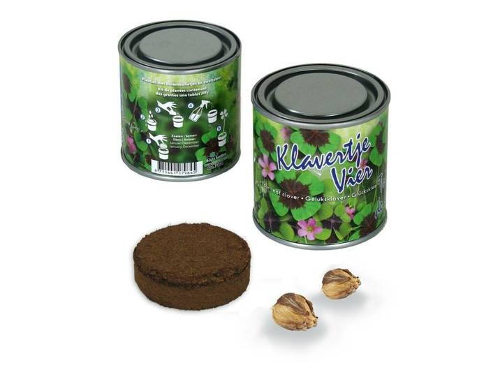 Boeketje in blik klavertje vier