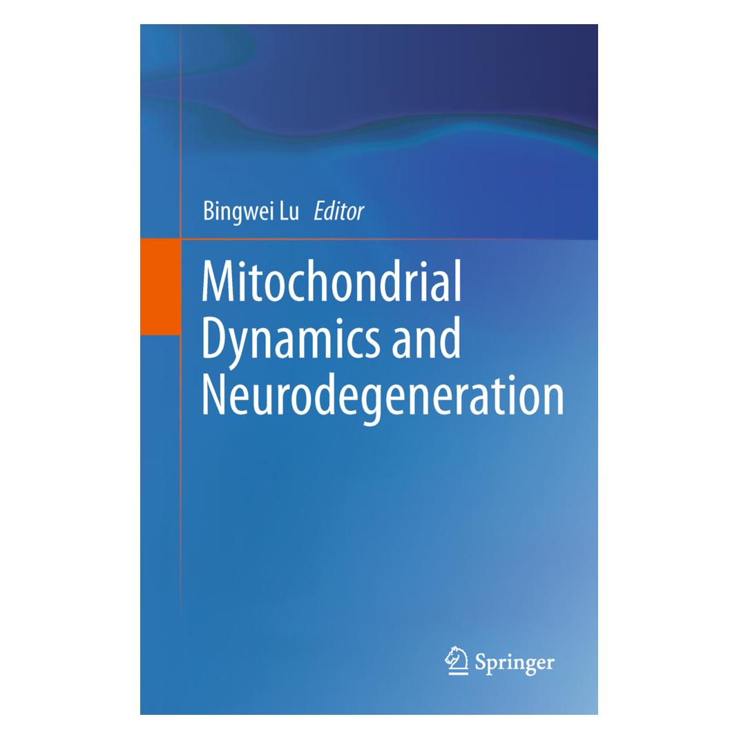 Springer Mitochondrial Dynamics and Neurodegeneration (Englisch, Softcover) (55574487)