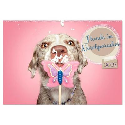 Hunde im Naschparadies... wo jeder Monat zum Anbeißen ist (Wandkalender 2027 DIN A2 quer), CALVENDO Monatskalender
