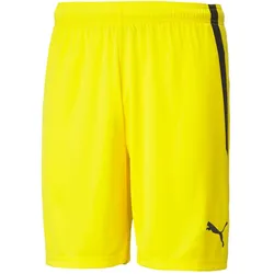 Puma, Herren, Sporthose, teamLIGA Shorts-704924 (XL), Gelb