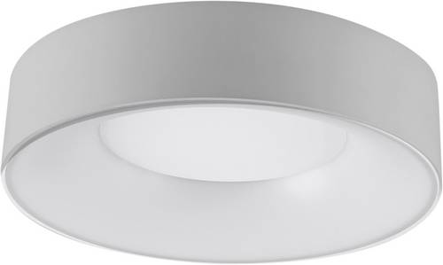 EVN R30181425 R30181425 LED-Deckenleuchte 18 W Silber