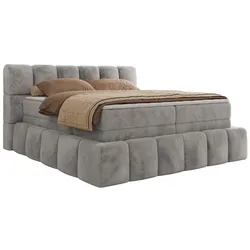 BOXSPRINGBETT NIRA KING 140/200 Hellgrau Plüsch - H3