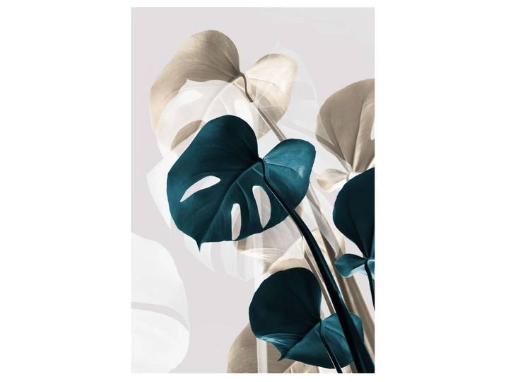 Bildsystem Monstera 3a ART