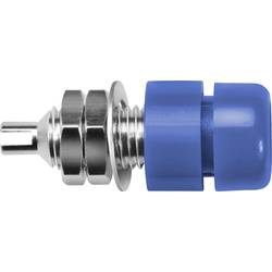 Schützinger IBU 401 Ni / BL Einbaubuchse Blau 1 St. Single