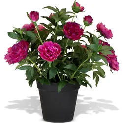 Künstliche Paeonia - Pfingstrosen Höhe 76 cm pink