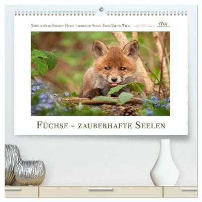 Füchse - zauberhafte Seelen (hochwertiger Premium Wandkalender 2027 DIN A2 quer), Kunstdruck in Hochglanz
