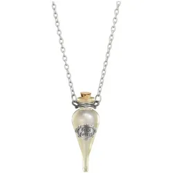 Noble Collection Harry Potter Anhänger mit Kette und Schmuckvitrine Felix Fel