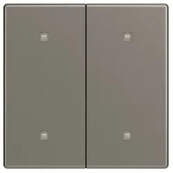 Busch-Jaeger Wippe Serien Schalter grau 2570-20-803 glänzend