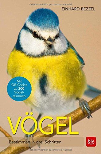 Einhard Bezzel - Vögel: Bestimmen in drei Schritten - Preis vom 11.10.2026 03:10:56 h