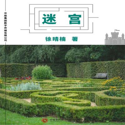 迷宫 - 徐晴楠, Audio, 4071498255971