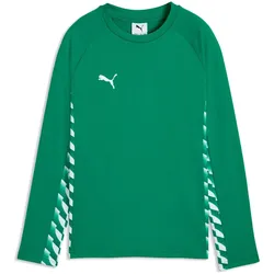 PUMA teamLIGA 26 Training Sweatshirt Kinder 05 - sport green/puma white/sport green 152