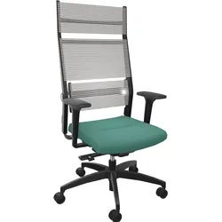 Dauphin Lordo Bürostuhl mit Kopfstütze - Web K Grau (062.030) / Opalgrün (97090) 165.018 (A)