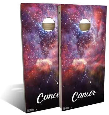 Skip's Garage Cancer Outdoor Cornhole Board Set