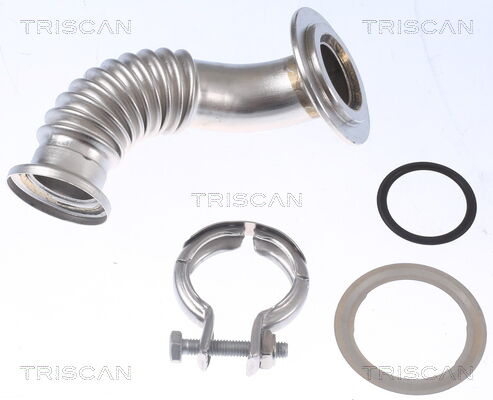 Triscan Rohrleitung, Agr-Ventil 881116001
