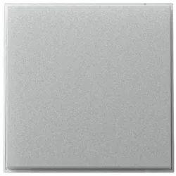 Gira Wippe gerade 349665