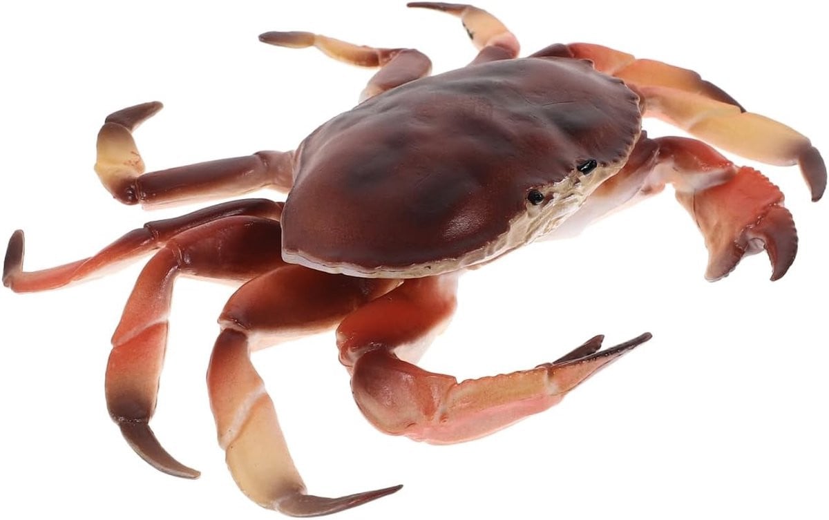 Simulatie Plastic Krab Model voor Educatieve Decoratie en Binnen Tuinaccessoires - Kunstmatige Dierfiguur