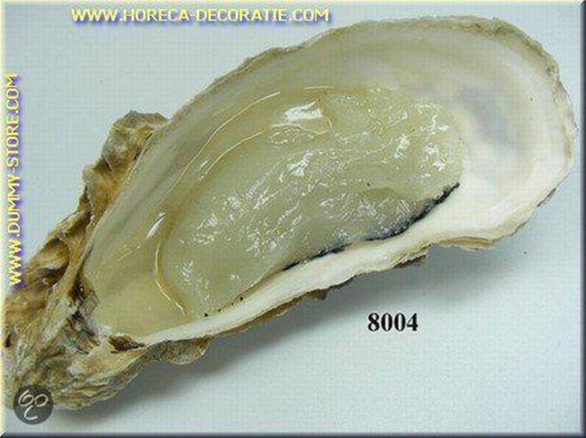 Oester dummy voor volwassenen
