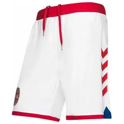 hummel, Herren, Sporthose, Heimunterhosen Danemark 2020/21 (L), Weiss
