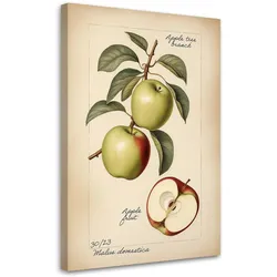 WANDBILD obst weinlese apfel