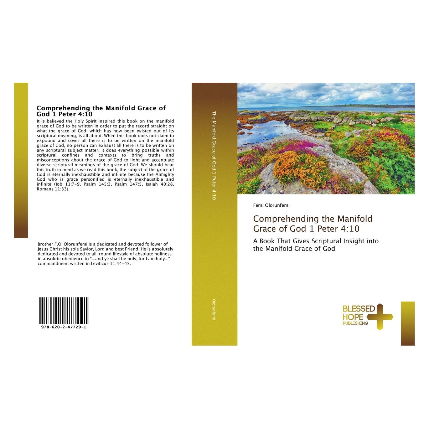 Various Publishers Comprehending the Manifold Grace of God 1 Peter 4:10 (Englisch, Softcover, Femi Olorunfemi) (55956859)