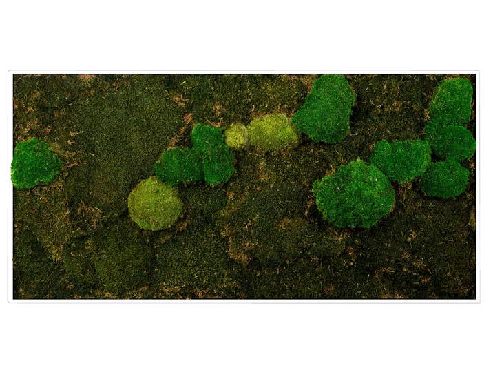 Bild mit Rahmen BÖNNINGHOFF Moosbild Mix Moos 60x120 cm, weisser Rahmen , grün (farbe rahmen: weiß, farbe bild(er): grün), B:120cm H:60cm T:5,5cm, Holzwerkstoff, Bilder, Bild mit Rahmen, handgefertigt, jedes Bild ein Unikat