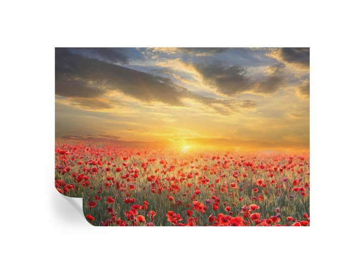 Wallfluent Fototapete 208x146 cm - Mohnfeld, Rot, 208x146 cm, Tapeten & Wandverkleidungen, Fototapeten