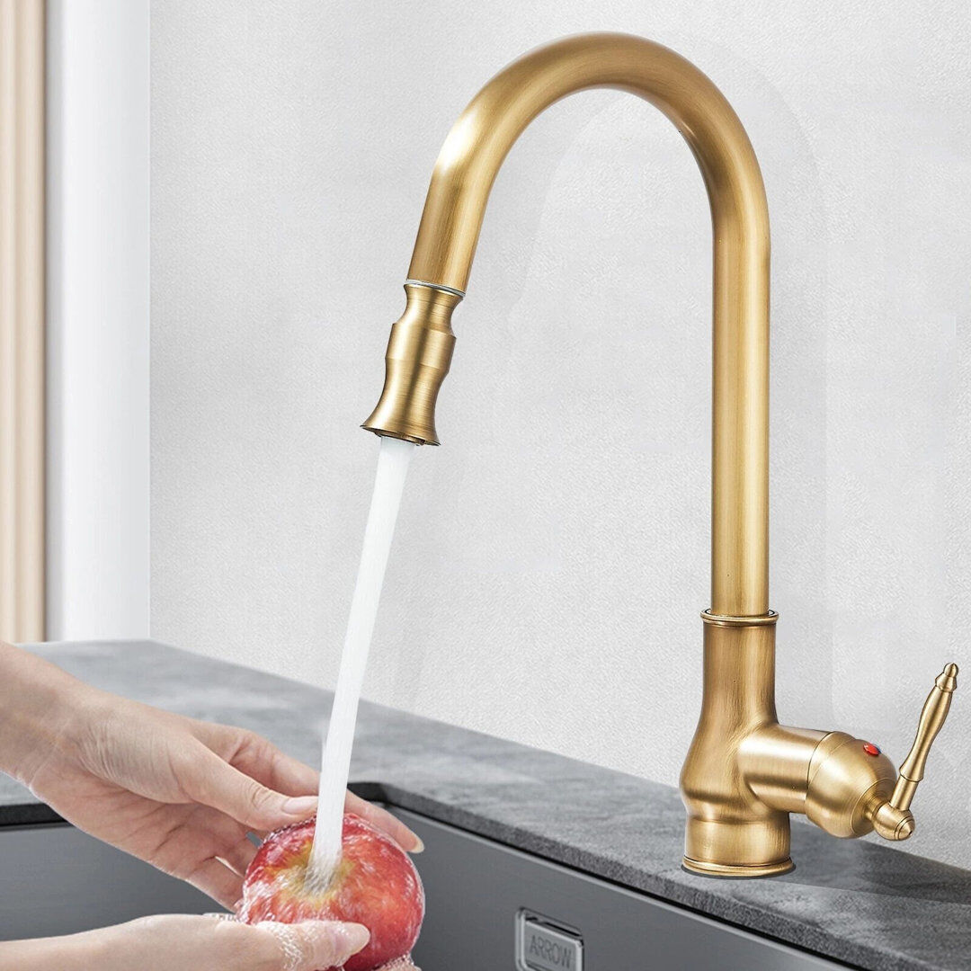 Marlow Home Co. Moverlesenk Kitchen Faucet Side Spray Antique Brass 19cm